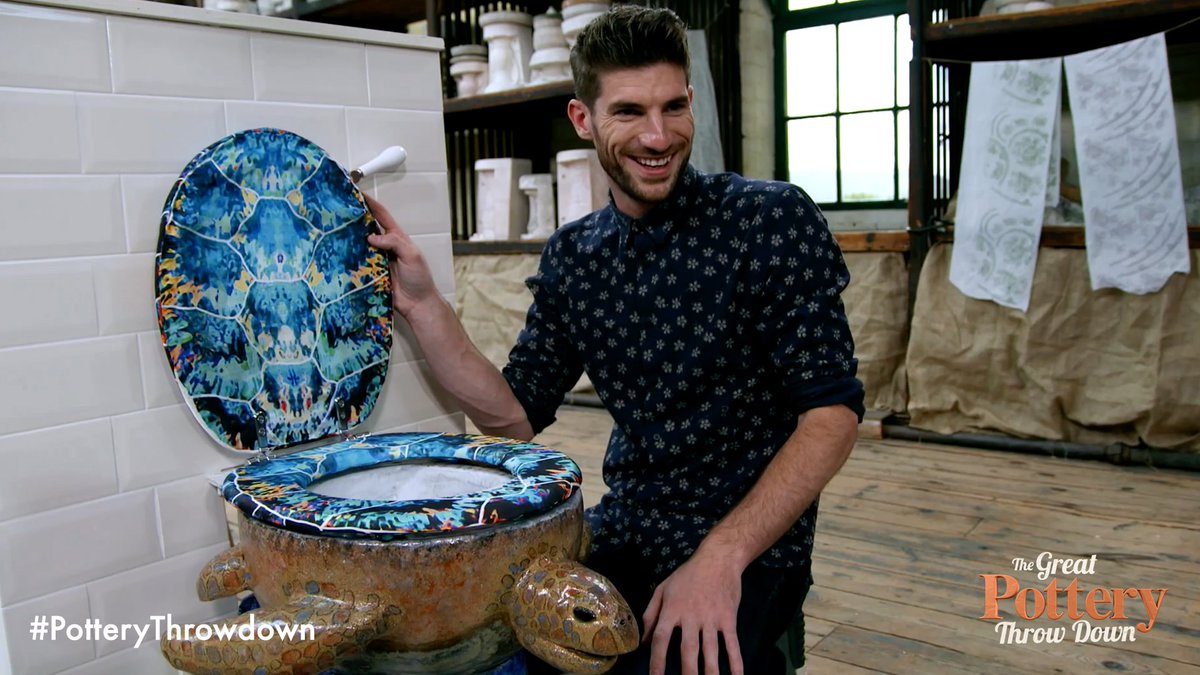 turtle-toilet