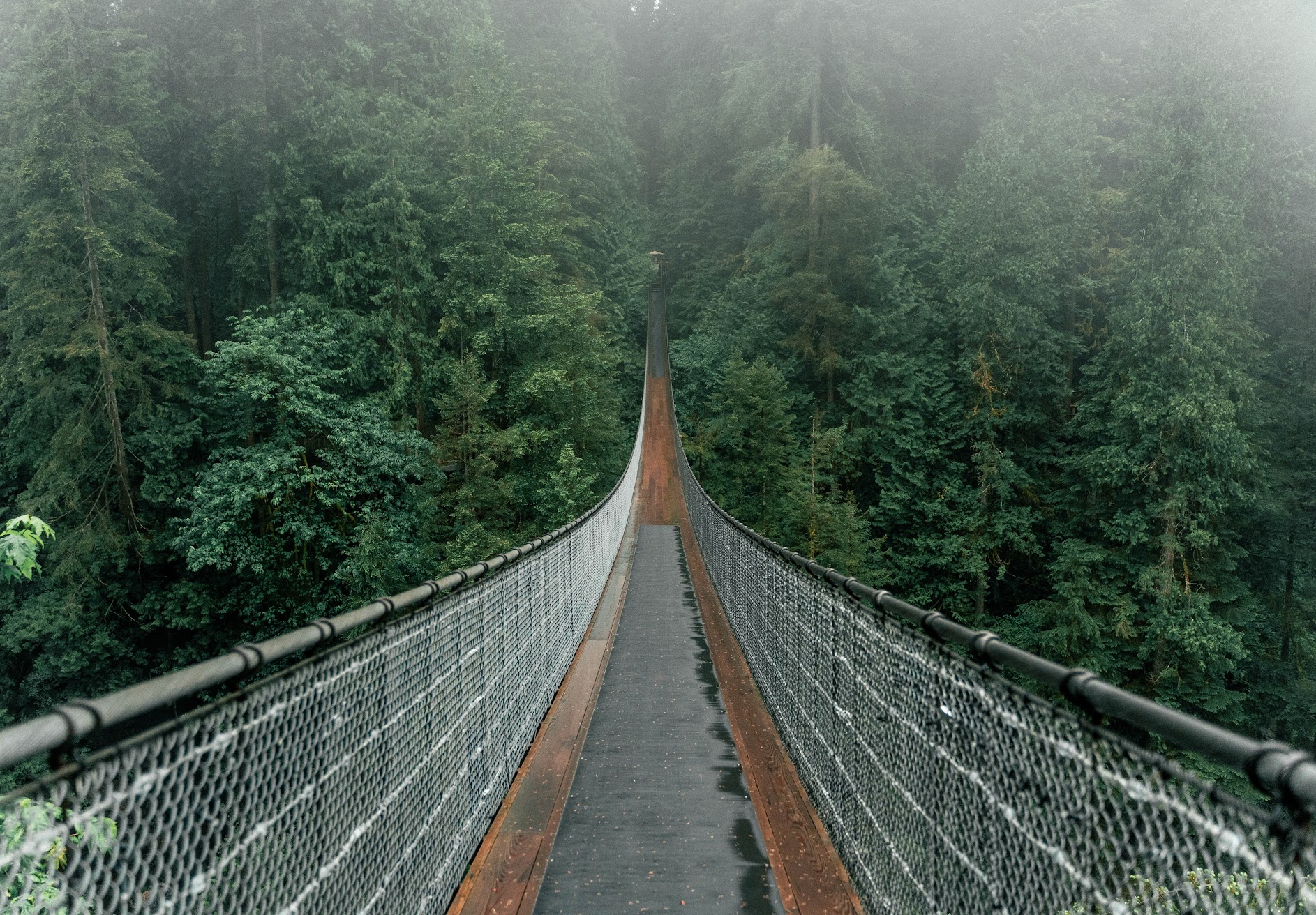 capilano suspension bridge