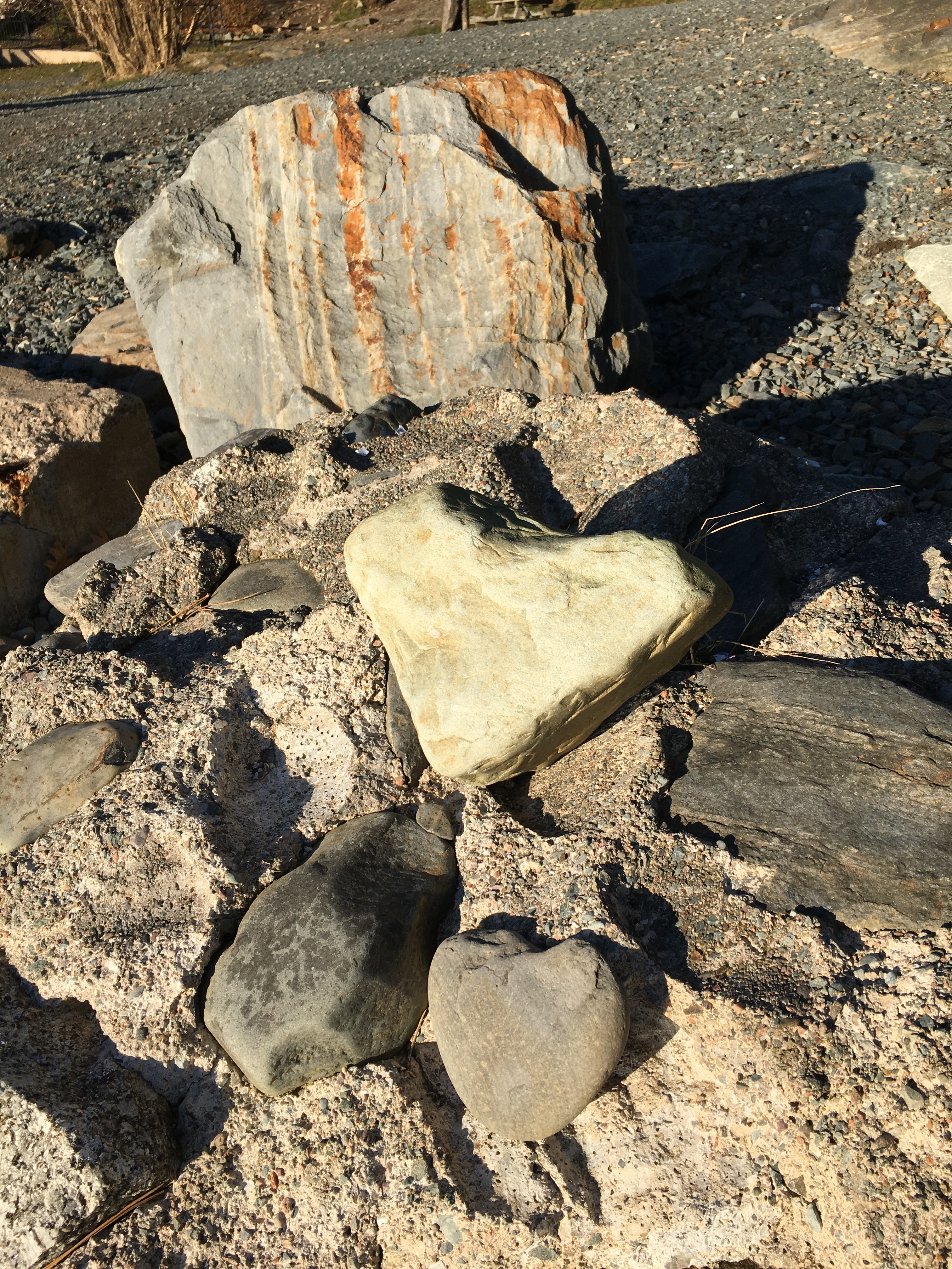 Heart Rock November 22