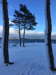 PPP Snowman Jan 21 23